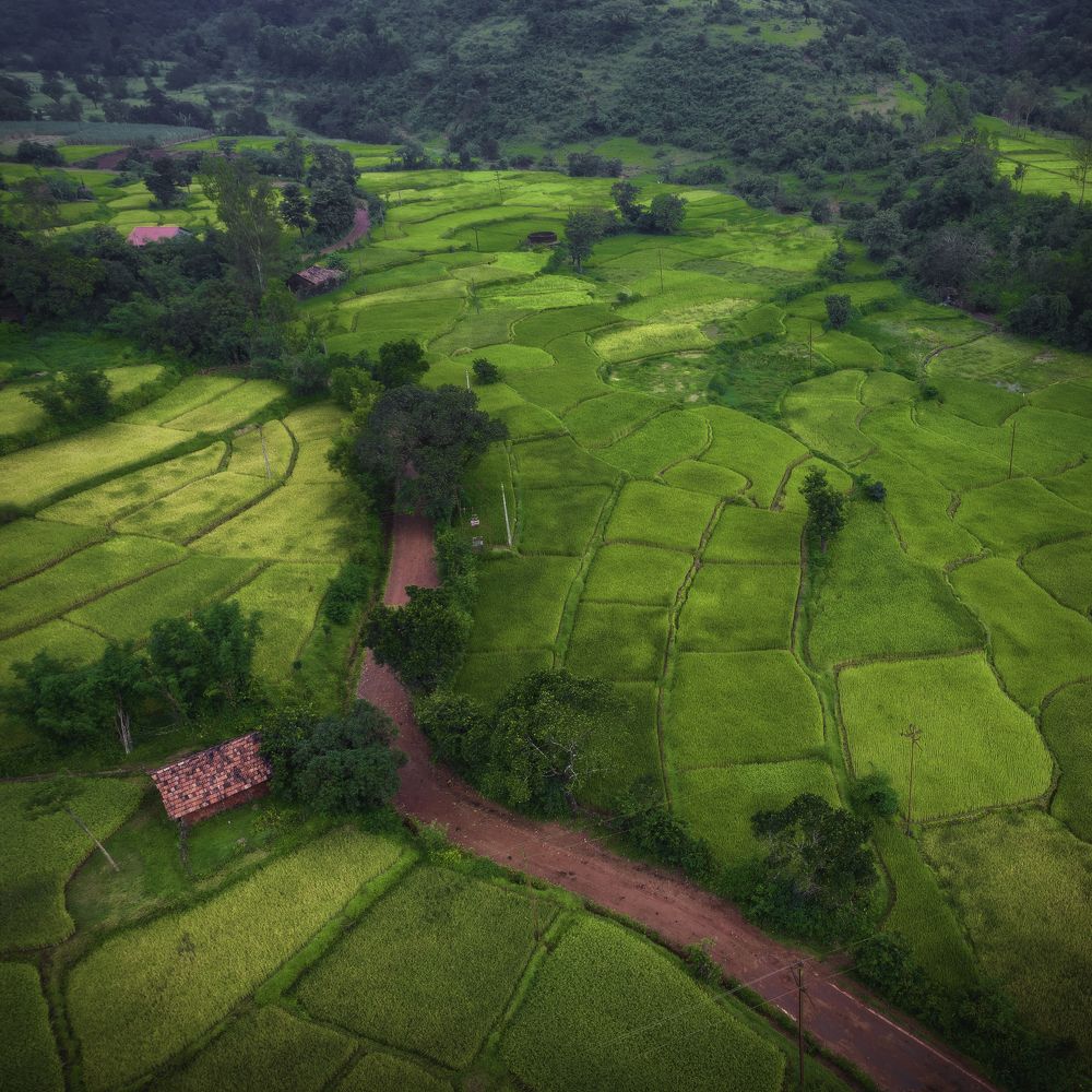 Photograph by Abhijeet Sawant