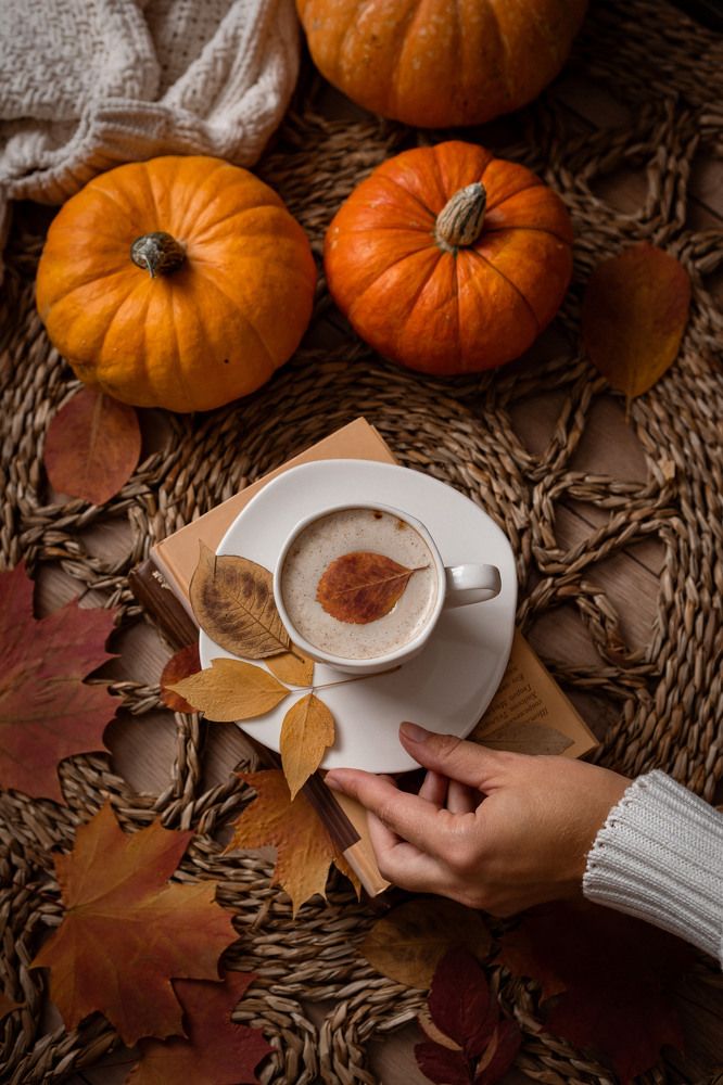 Photograph by Nataly Cook