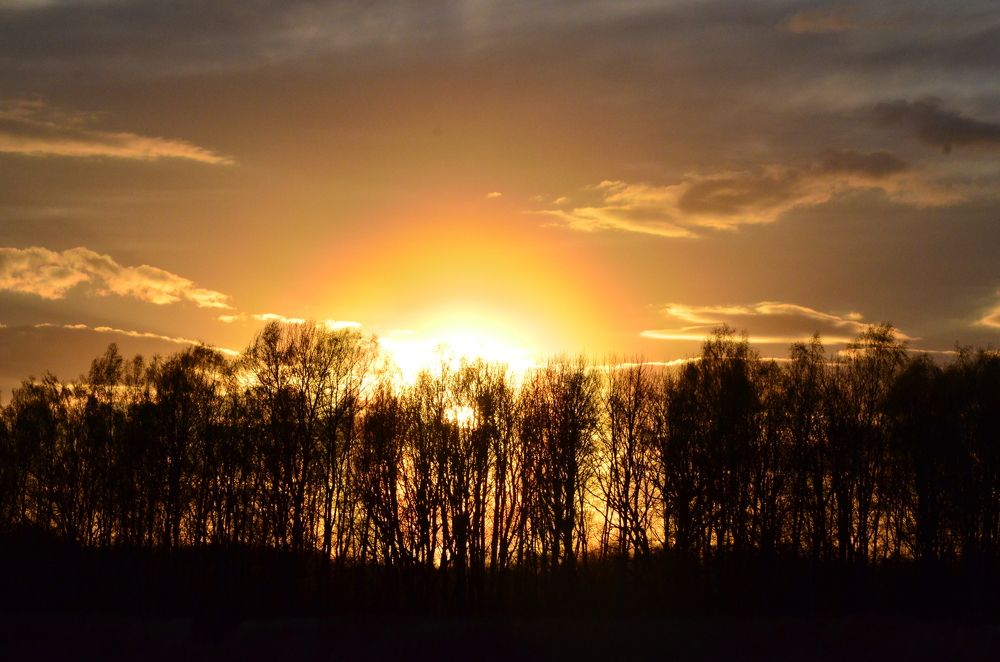 Photograph by Ольга Зиновьева