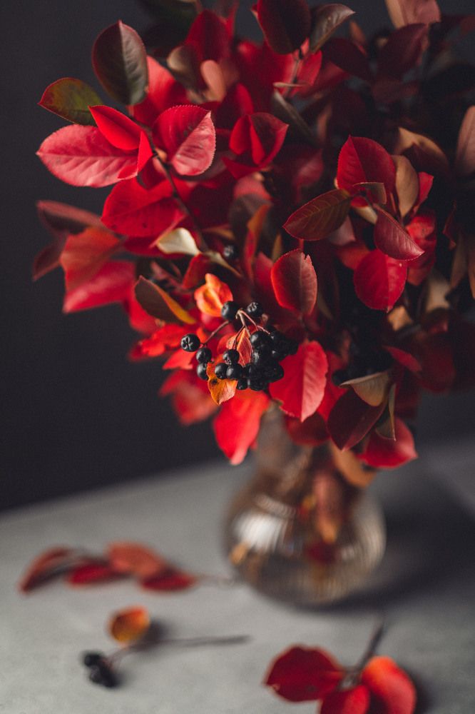 Photograph by Nataly Cook