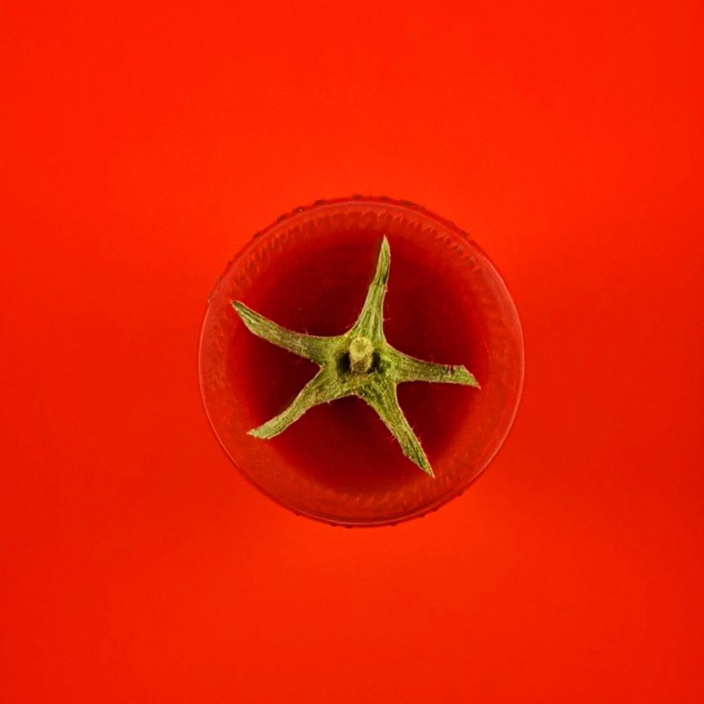 Photograph by Kolesnikova