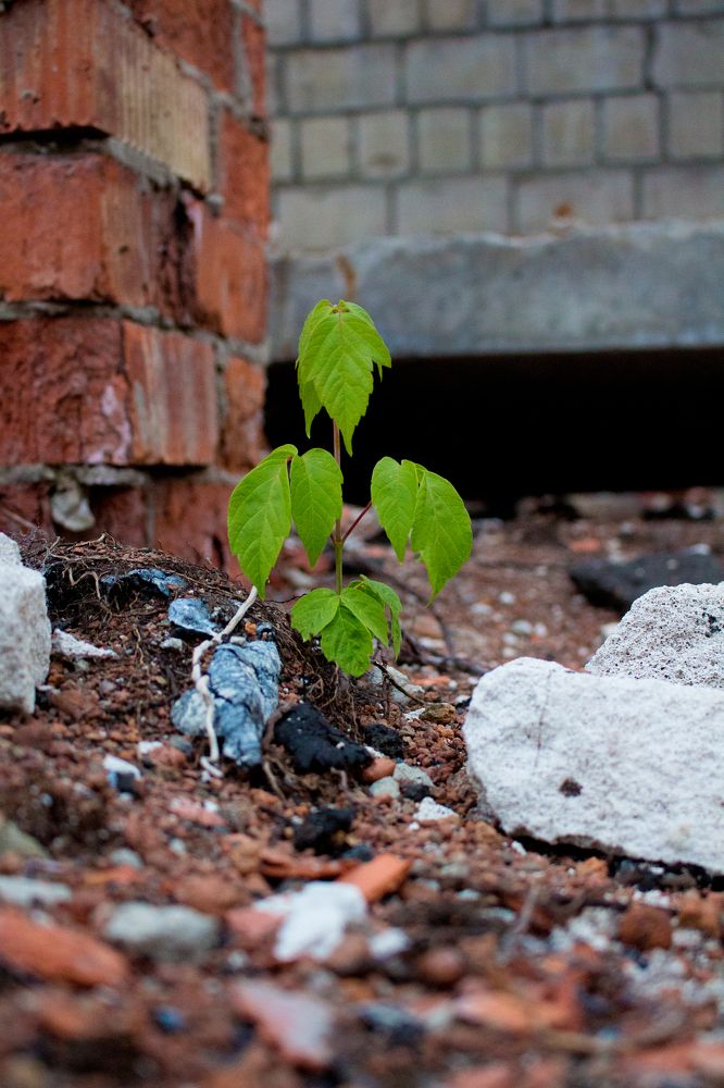 Photograph by Иван Полиненко
