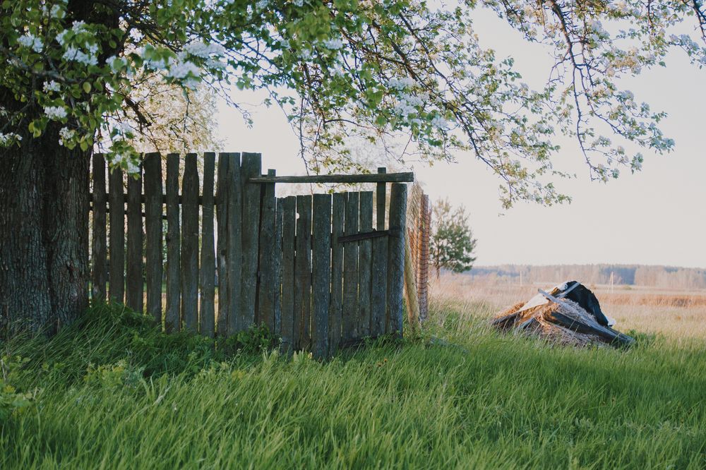 Photograph by Иван Полиненко