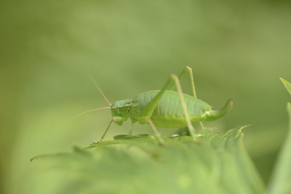 Фотография автора Медведев Сергей