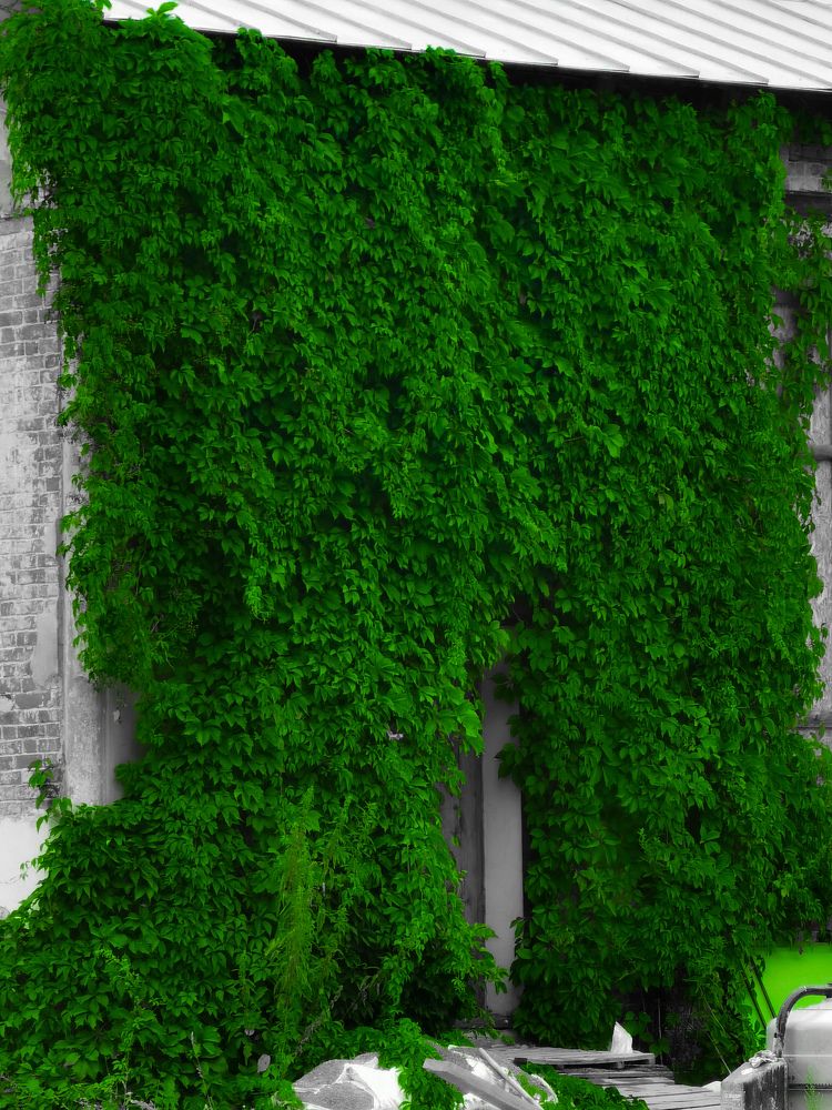 Photograph by Влад Апанасов