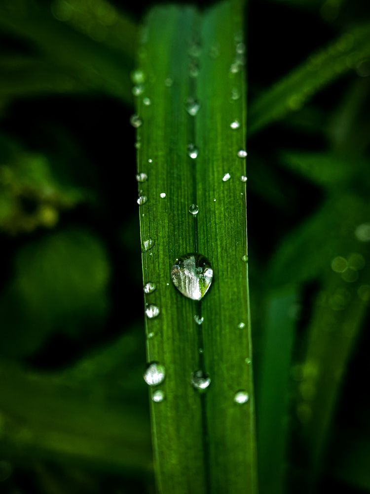 Photograph by Влад Апанасов