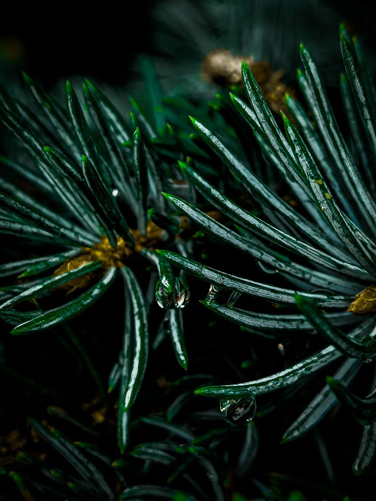 Photograph by Влад Апанасов