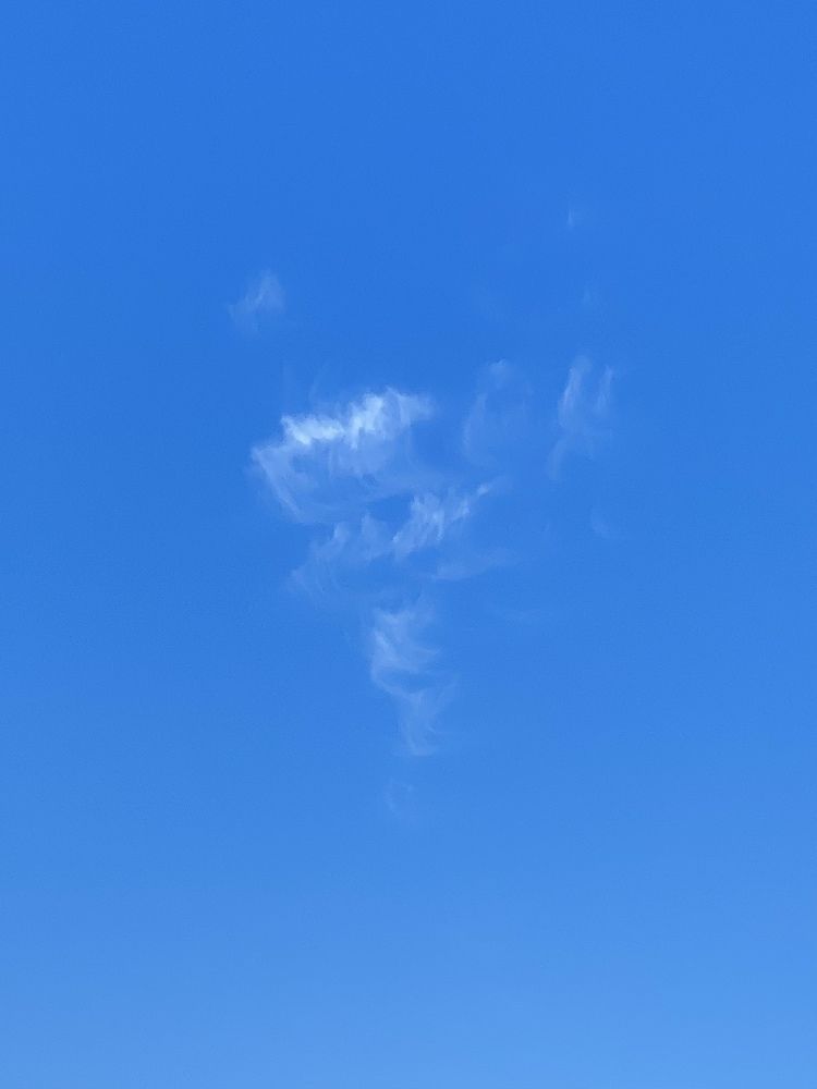 Photograph by Светлана Фесенко