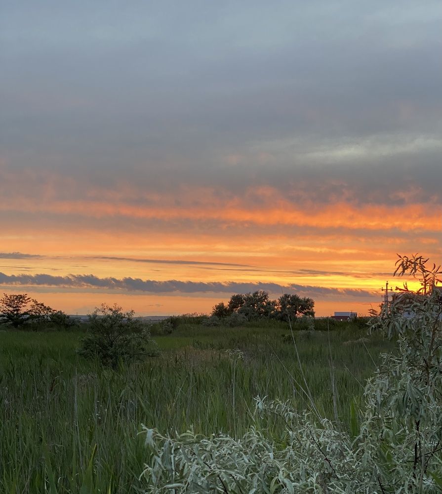 Photograph by Светлана Фесенко