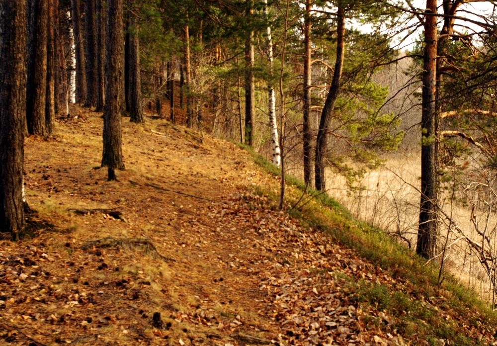 Photograph by Александр Никонофф