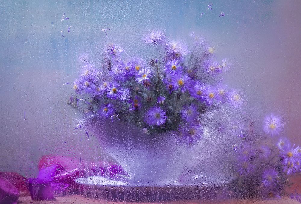 Photograph by Светлана Сушкевич