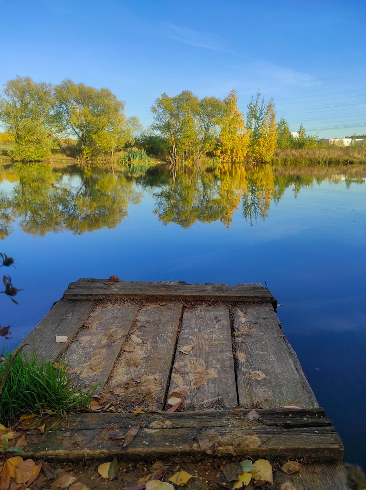 Фотография автора Марина Гусева