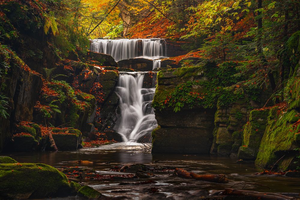 Photograph by Александър Александров