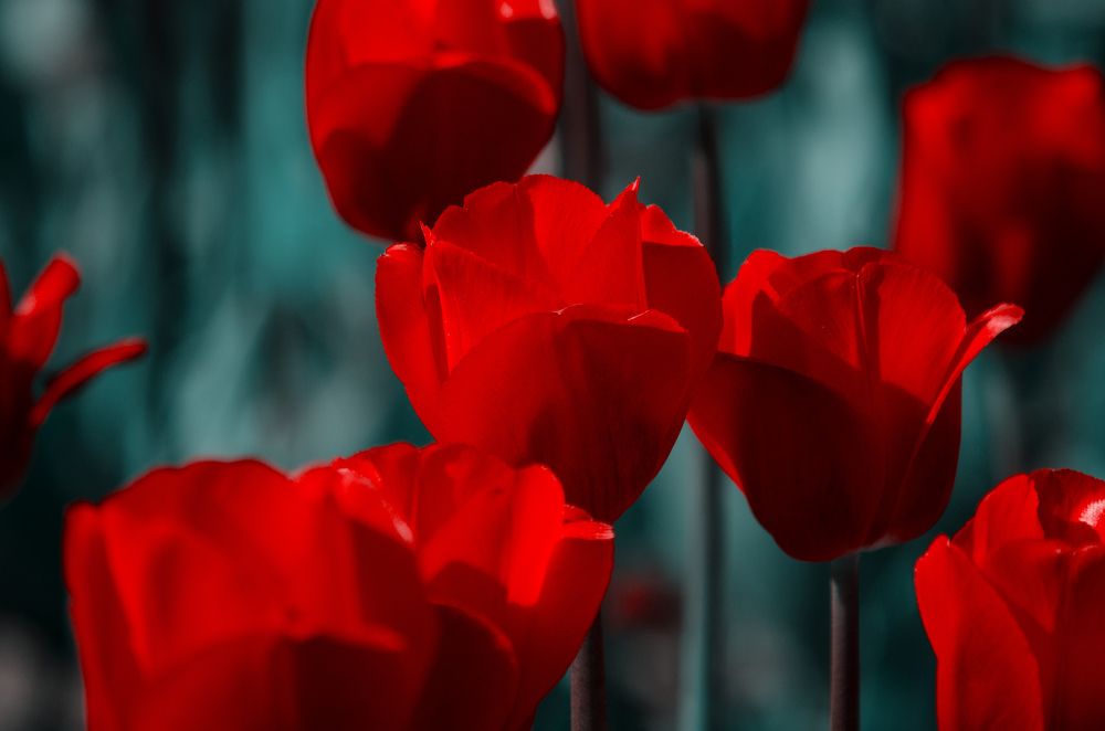 Photograph by Вероника Ливанова