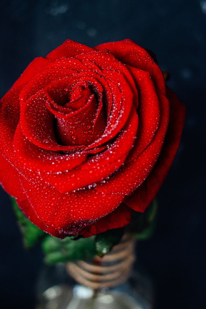 Photograph by Юлия Белозёрова