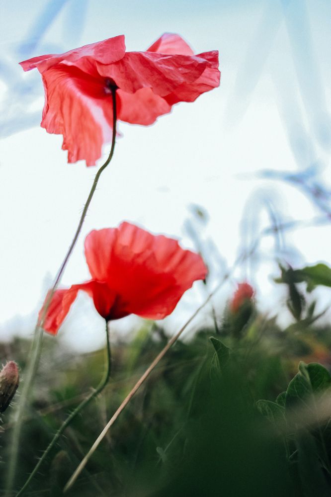 Photograph by Юлия Белозёрова