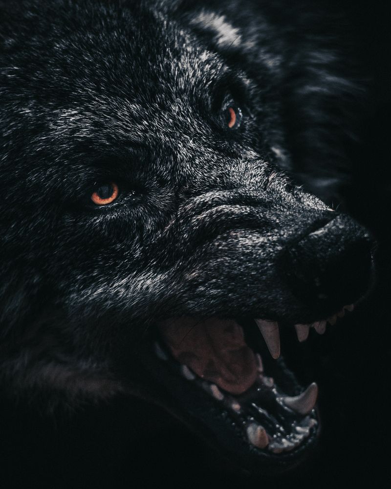 Photograph by Суковач Роман