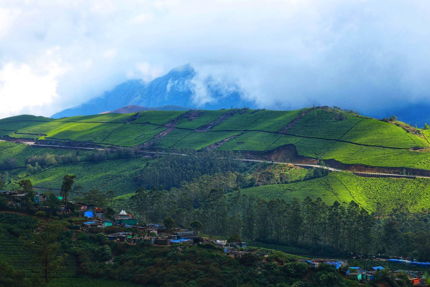 Beautiful munnar