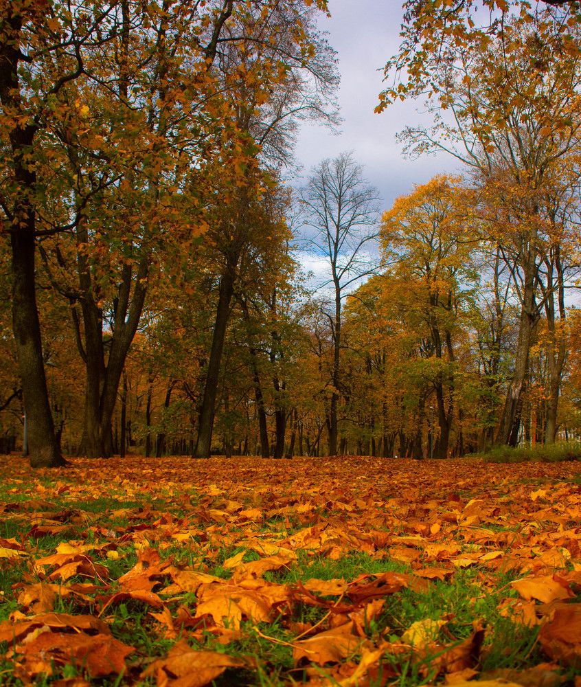 Фотография автора Aлексей Игнатьев