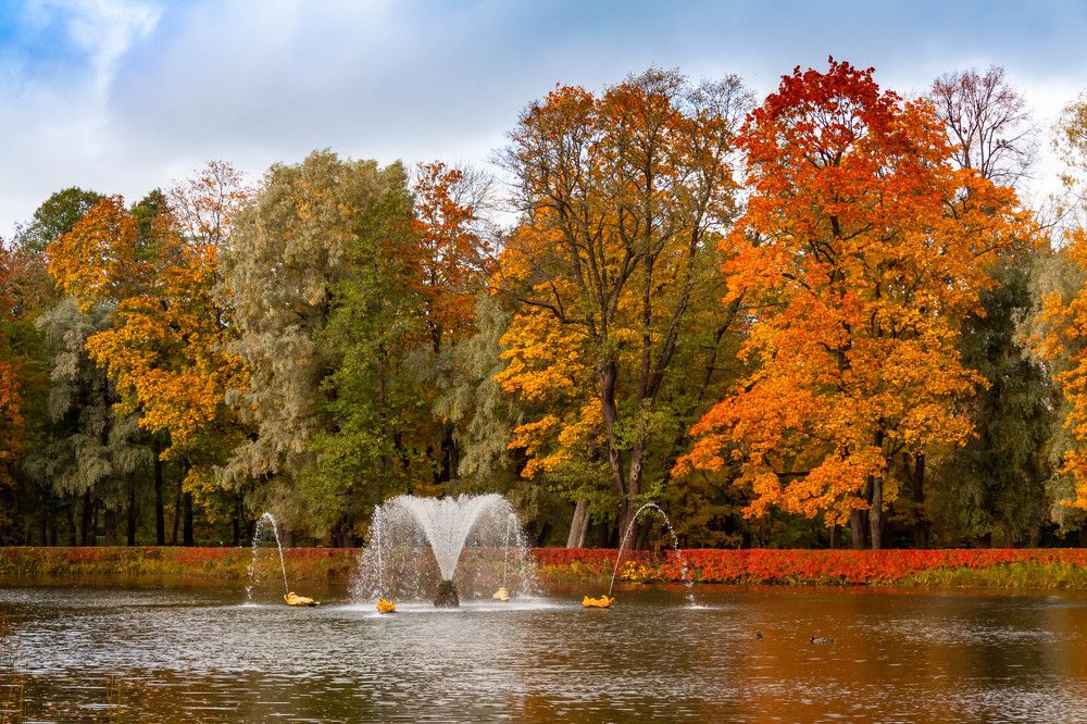 Photograph by Диана Бородзе