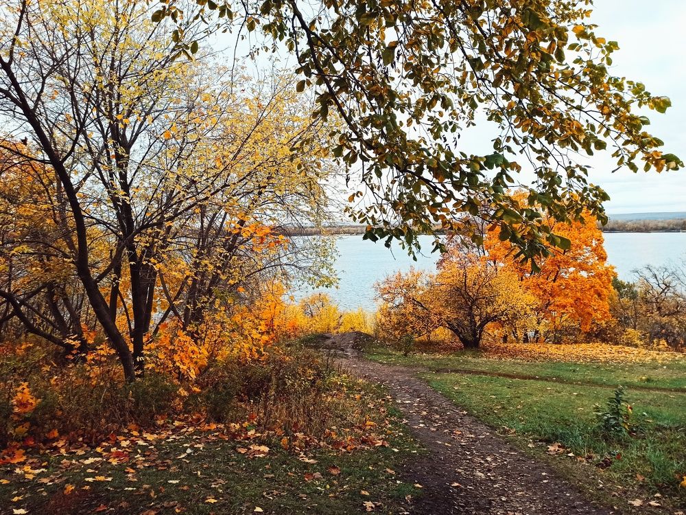 Photograph by Elena Bogomolova