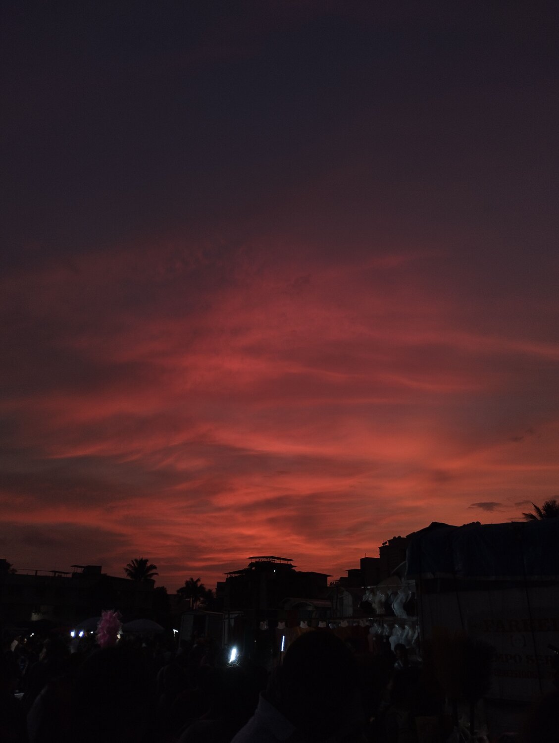 Photo #8213848