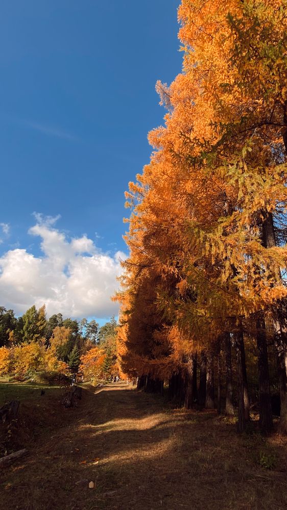 Photograph by Мира Гимаева