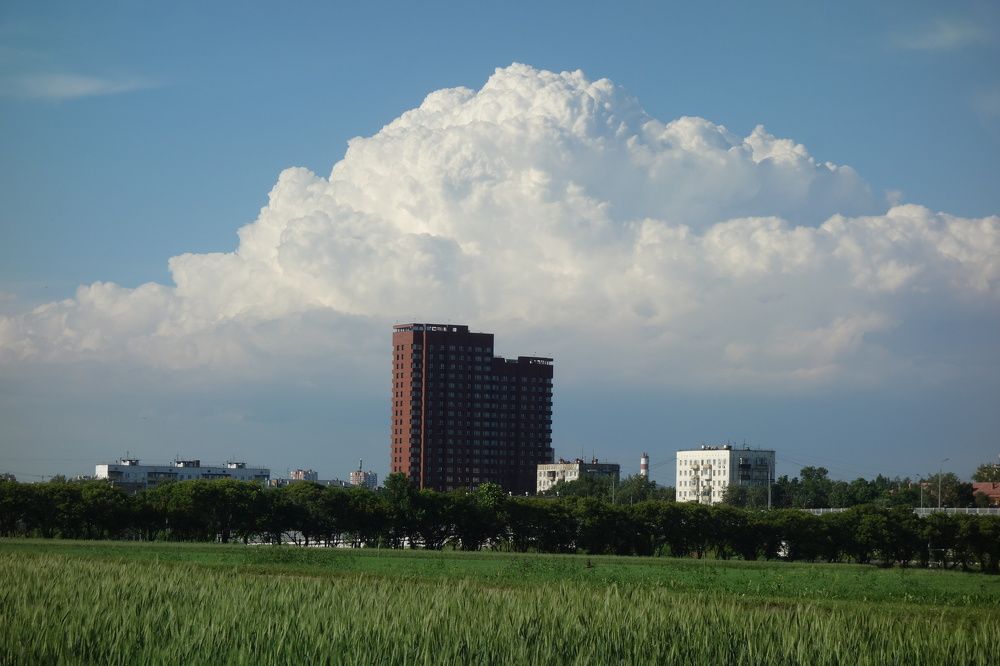 Photograph by Дарья Гришина