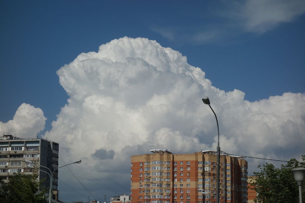 Photograph by Дарья Гришина