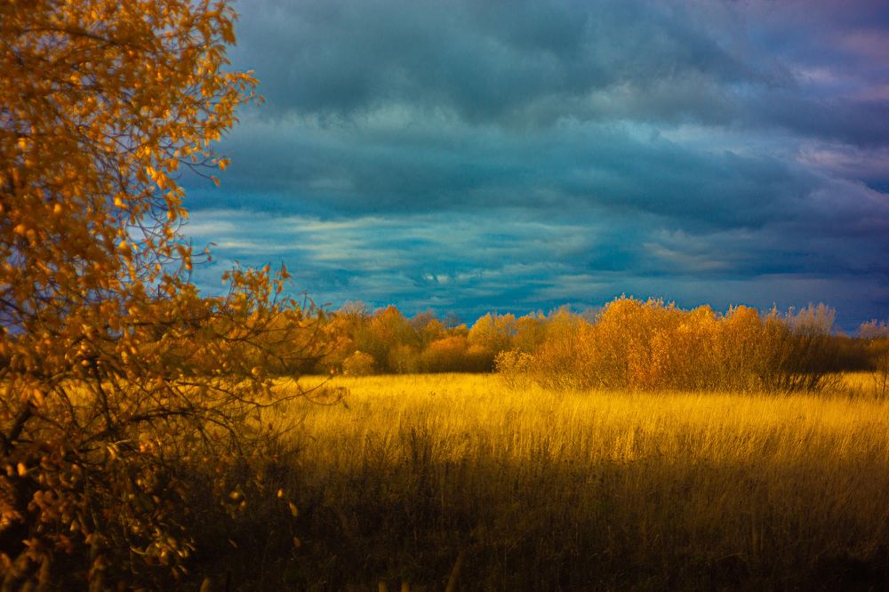 Photograph by Виталий Зубков