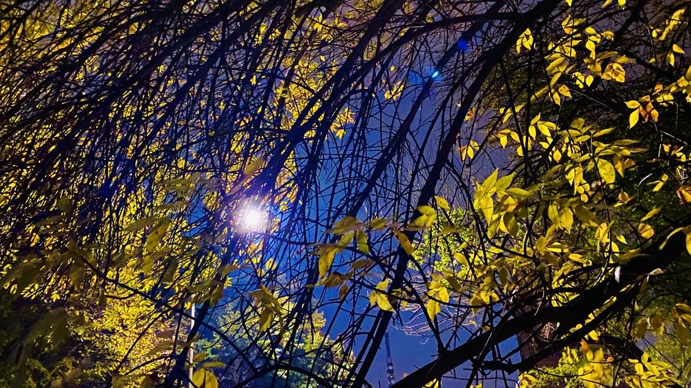 Photograph by Сергей Смирнов