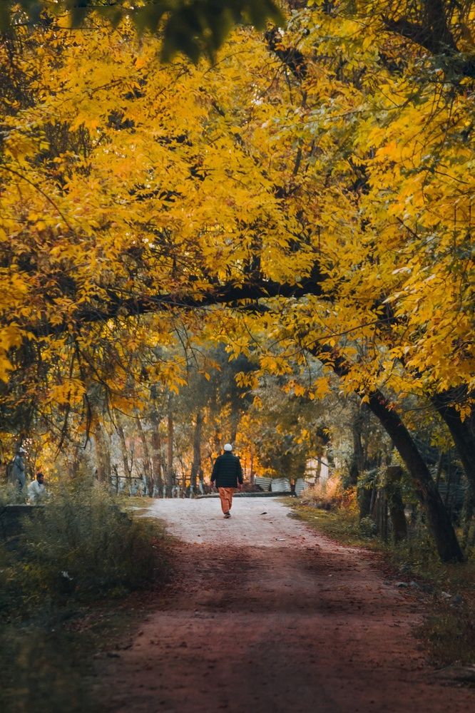 Photograph by Bhatt Muxamil