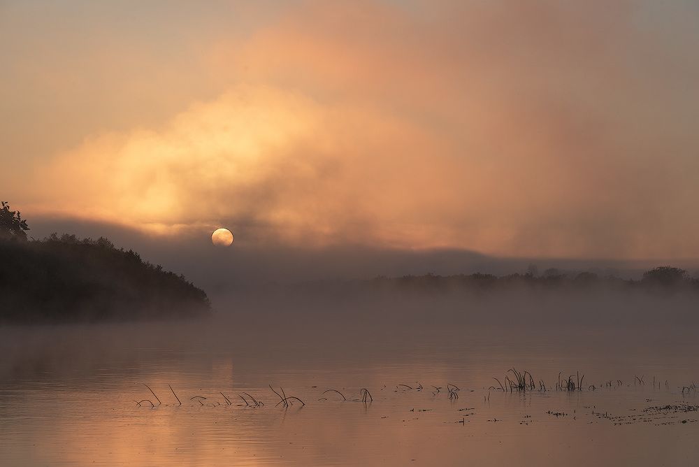 Пробуждение