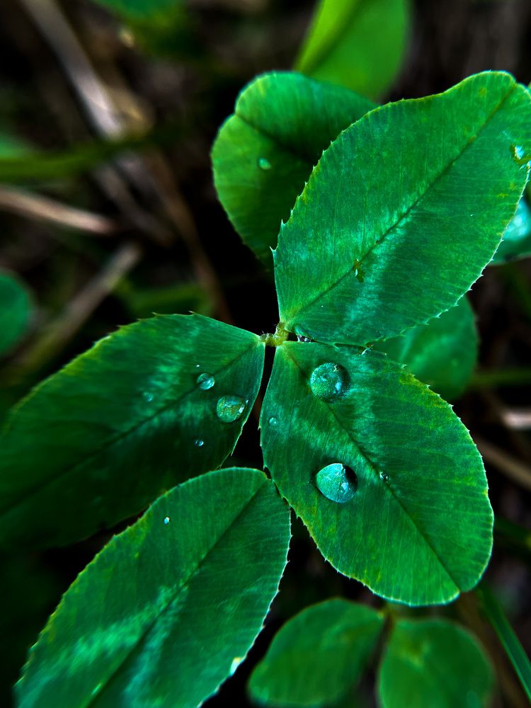 Photograph by Асель Бекбосынова