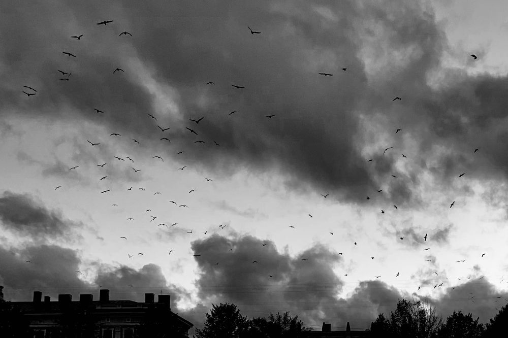 Photograph by Анна