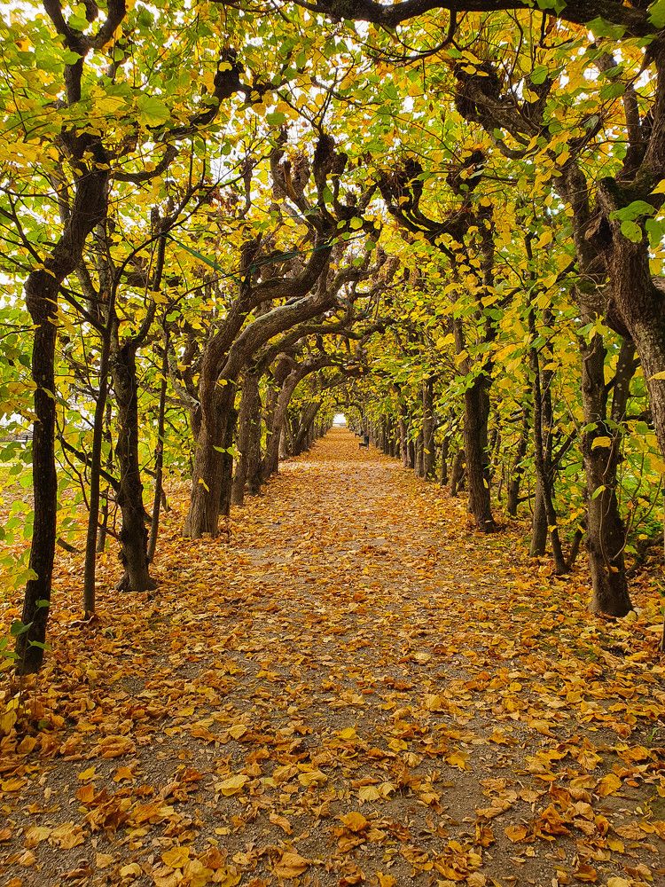 Photograph by Volkova Nataliia