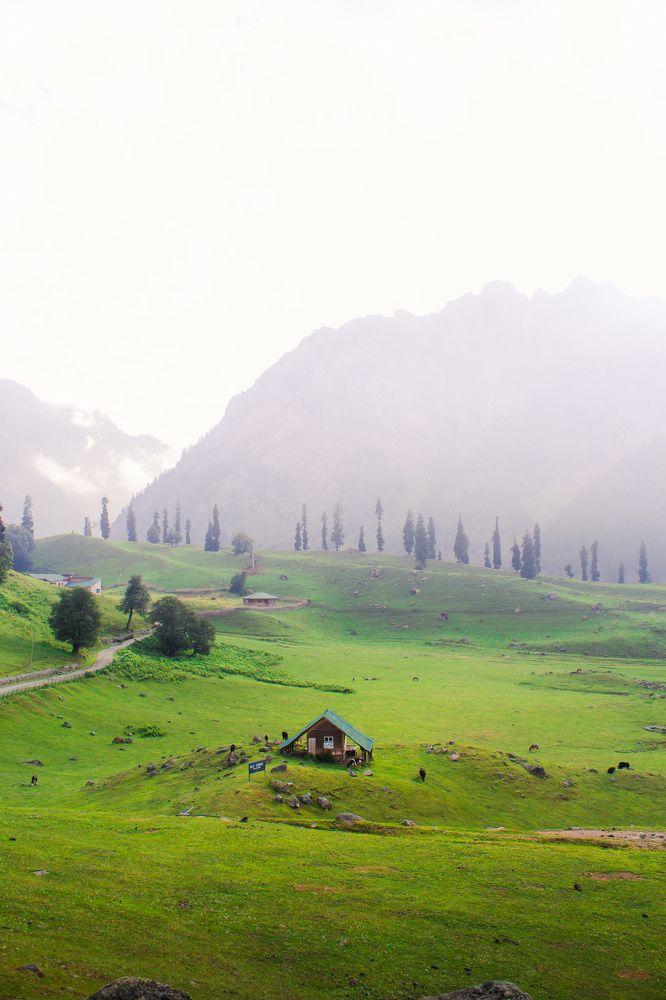 Photograph by Bhatt Muxamil