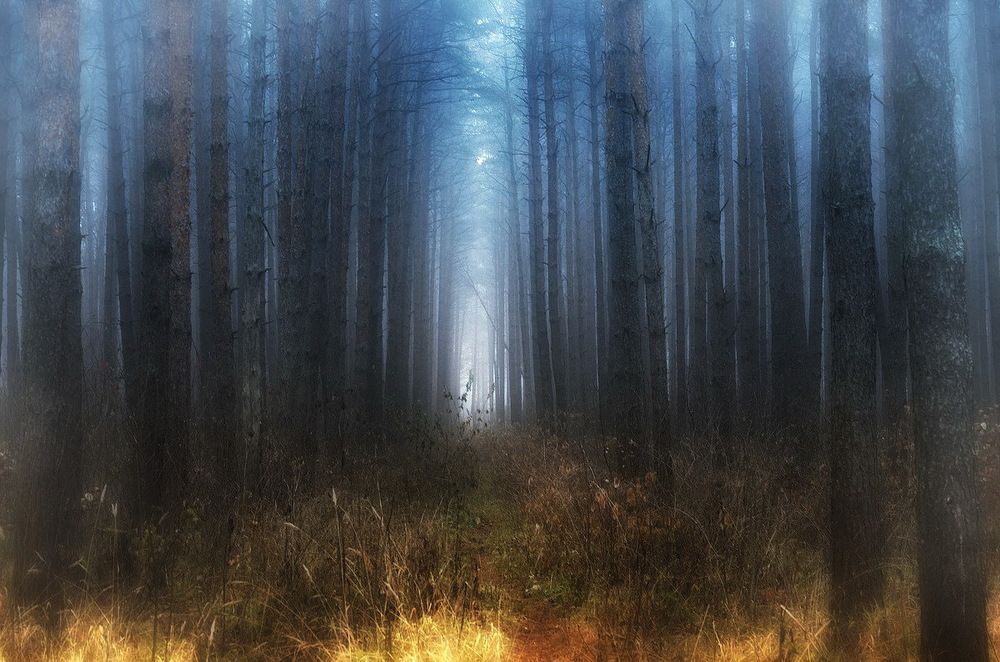 Photograph by Сергей Клапишевский