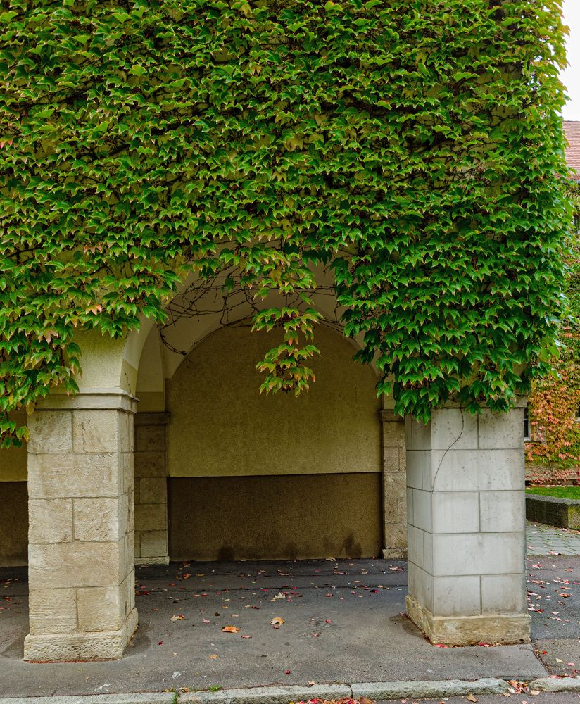 Photograph by Oleg Yashin