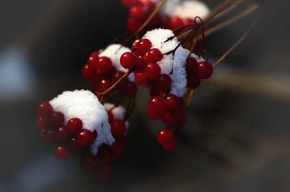 Photograph by Сергей Клапишевский