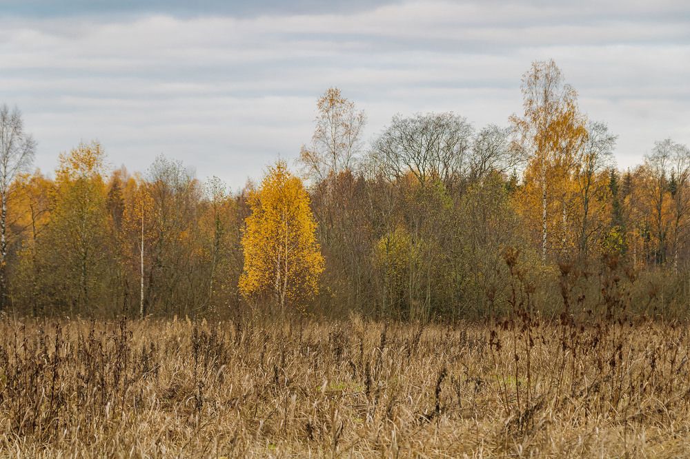 Photograph by Алексей Чеботарев