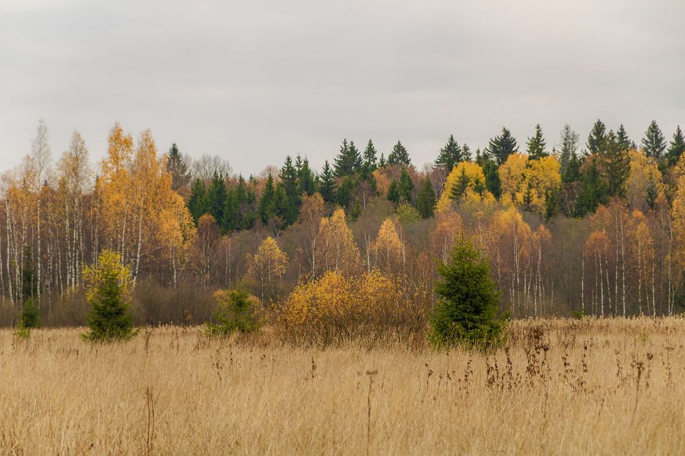 Photograph by Алексей Чеботарев