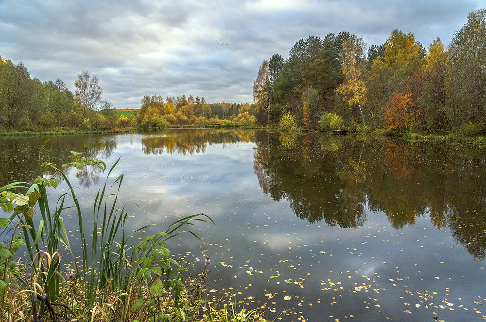 Осенний пруд