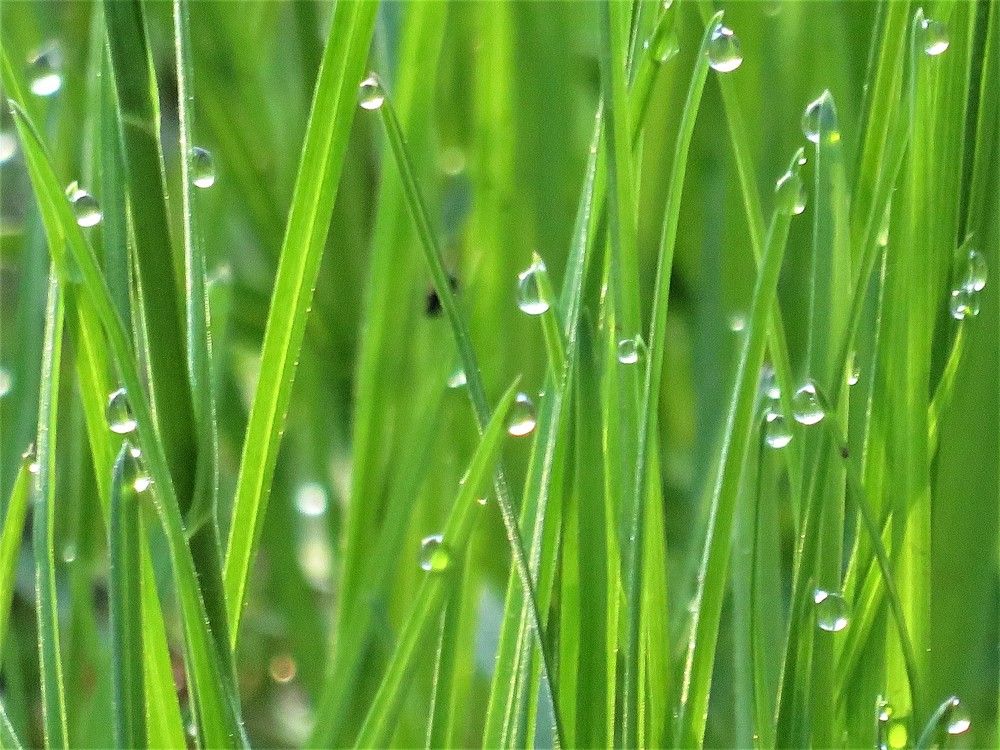 Photograph by Людмила Кононова