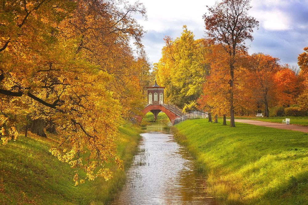 Photograph by Анатолий Буланкин