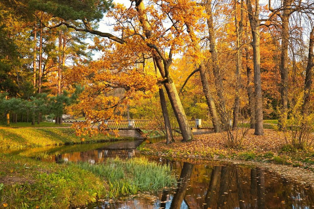 Photograph by Анатолий Буланкин