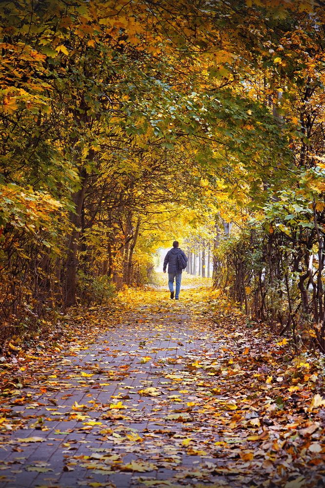 Photograph by Анатолий Буланкин