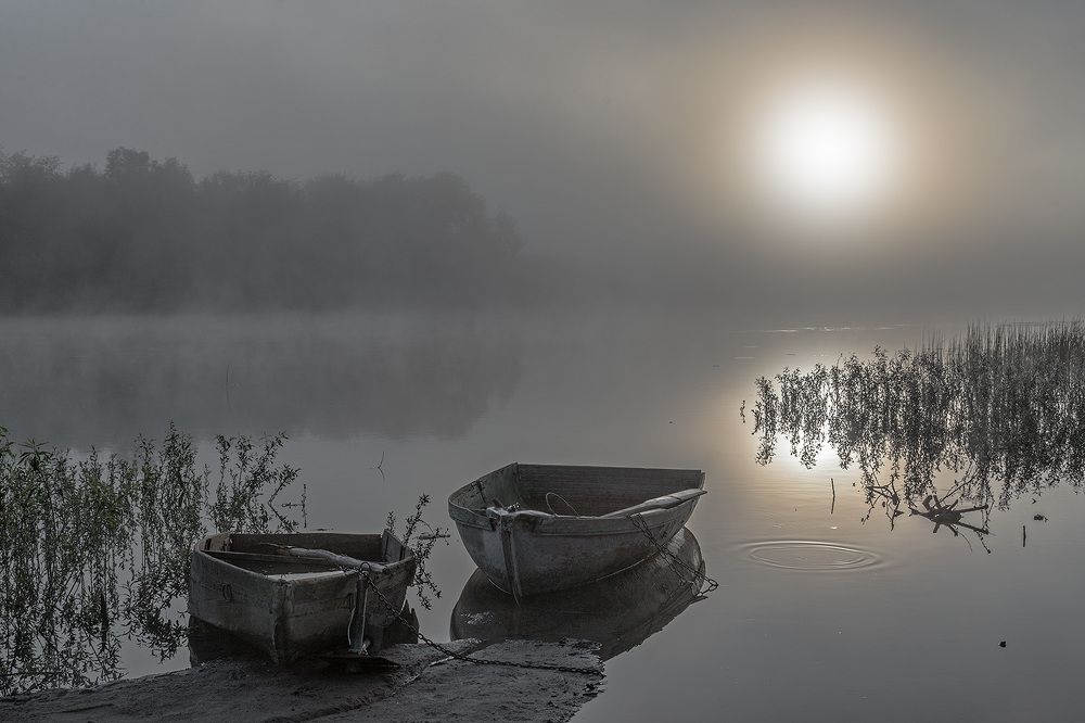 Утро туманное