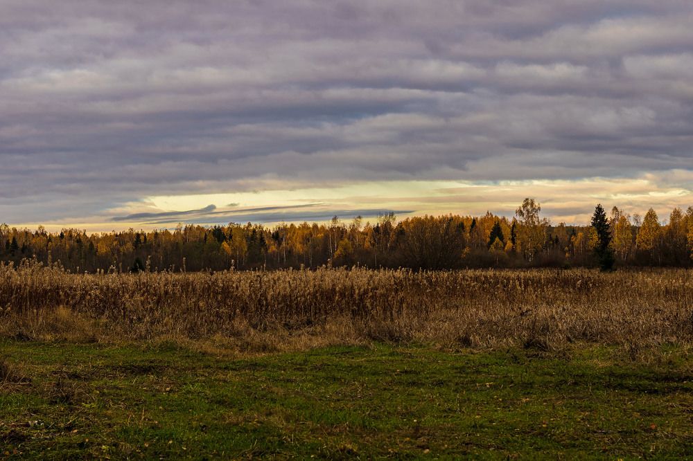 Photograph by Алексей Чеботарев