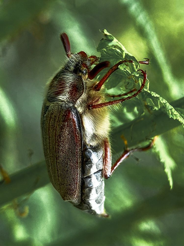 Photograph by Мария Акимова